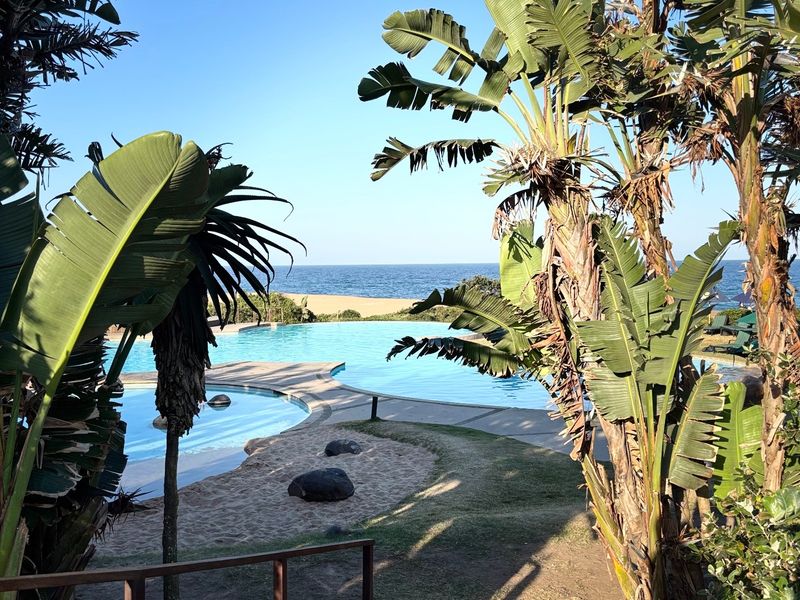 A scenic view of a swimming pool area surrounded by lush tropical landscaping, overlooking the ocean and sandy beach.