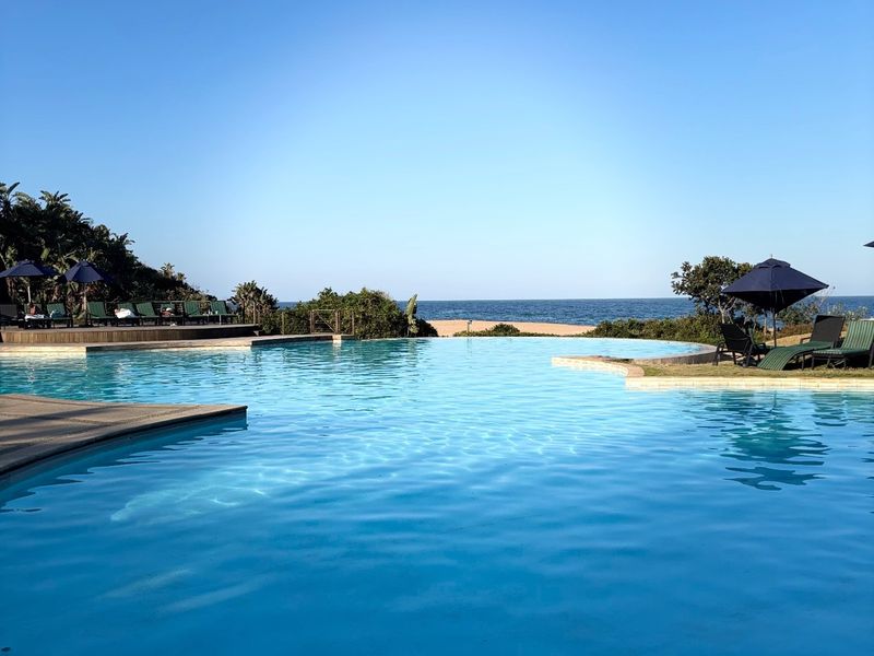 A pristine infinity-style swimming pool featuring timber decking and landscaped surroundings, offering direct views of the ocean and beach.