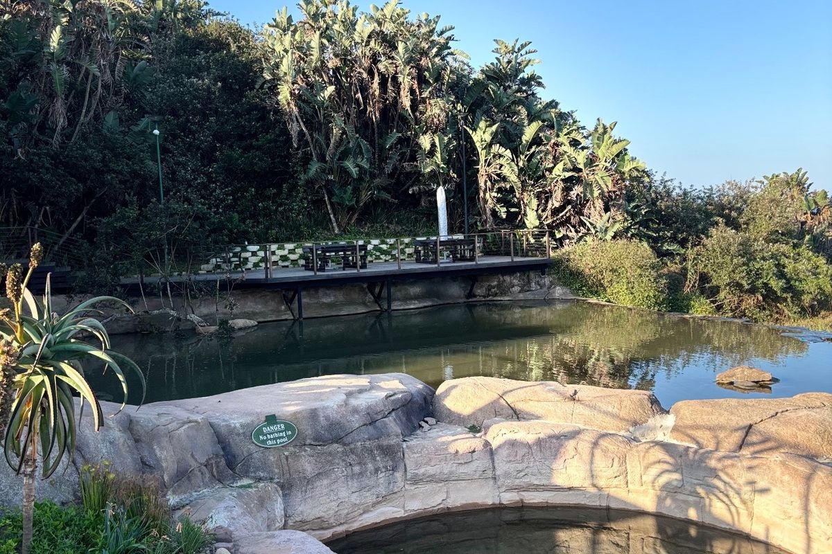 Outdoor pool area featuring a naturalistic rock pool design, a raised timber viewing deck, and lush surrounding vegetation.