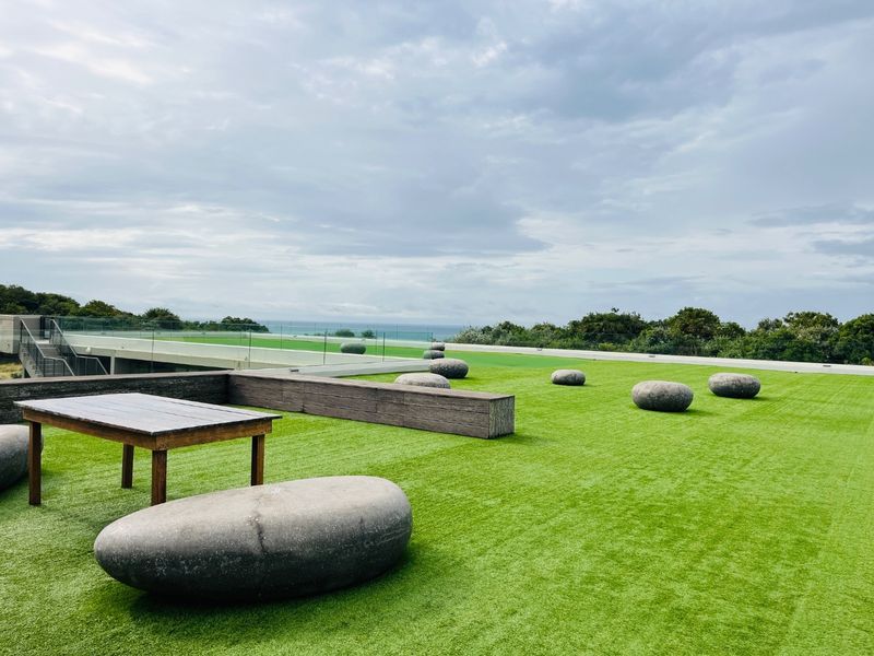 Spacious rooftop terrace featuring artificial turf, a built-in timber bench, and a glass balustrade with scenic coastal views.