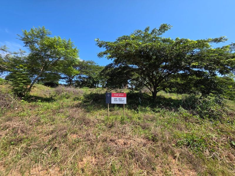 A vacant residential plot of land measuring 1545 square meters, featuring established trees and a gentle slope, ideal for future development.