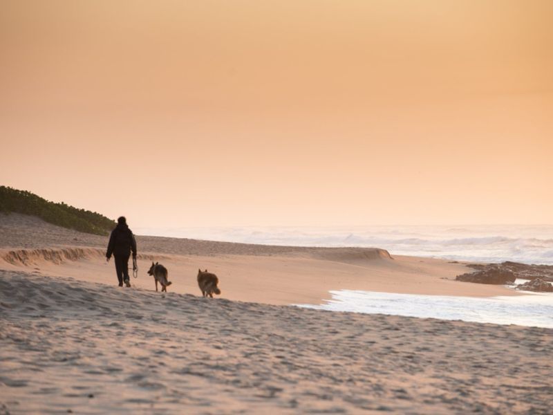 A scenic view of the coastline and beach, highlighting the natural landscape and proximity to the ocean.