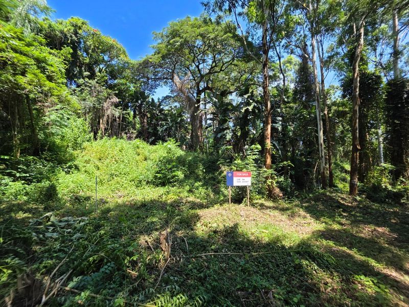 A view of a vacant residential plot featuring dense natural vegetation and mature trees.