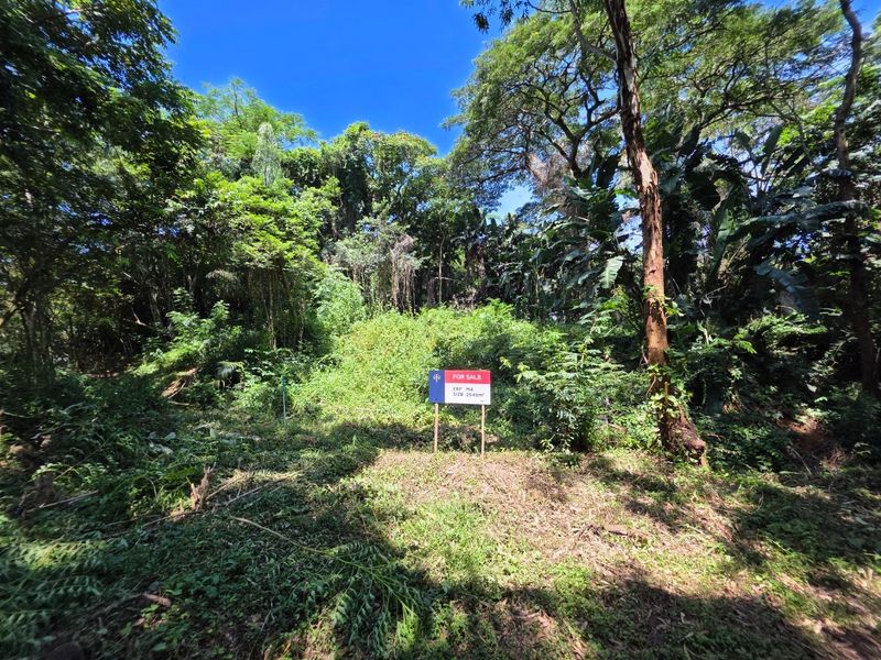 A view of a vacant residential plot featuring dense natural vegetation and mature trees, marked with a for sale sign.