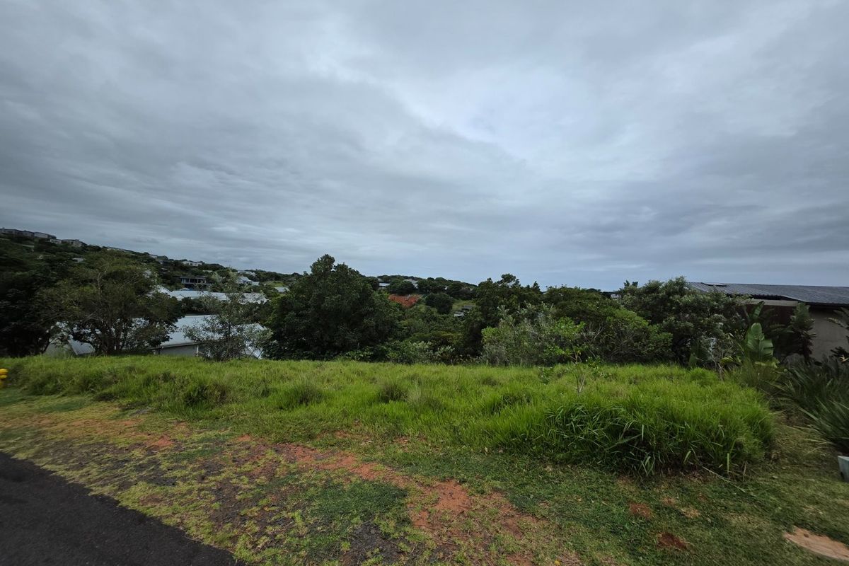A view of the vacant residential land featuring natural grass coverage and surrounding mature trees and neighborhood landscape.