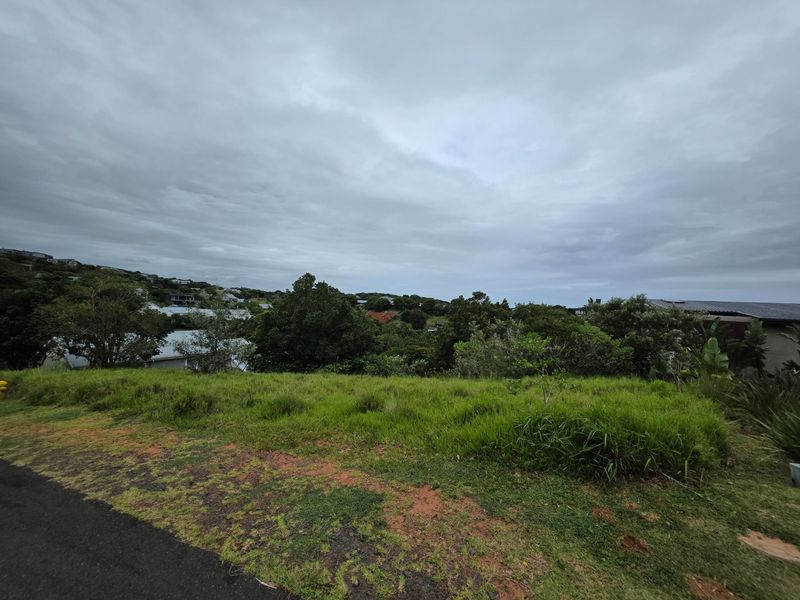 A view of the vacant residential land featuring natural grass coverage and surrounding mature trees and neighborhood landscape.