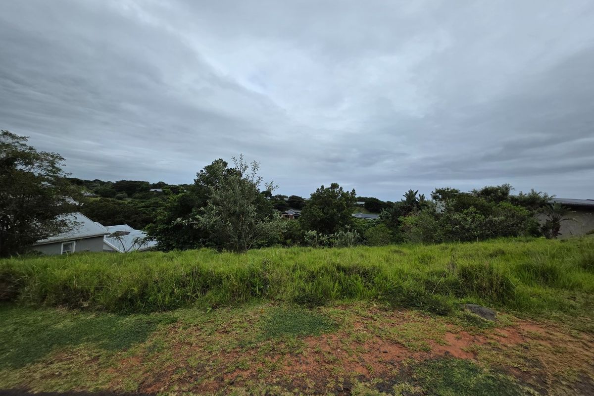 A view of the vacant residential land featuring sloped terrain and established vegetation under an overcast sky.