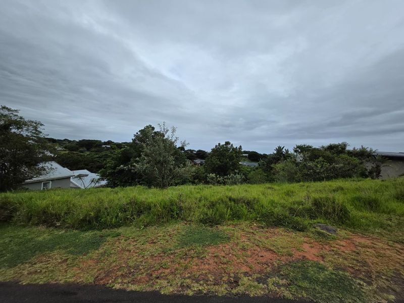 A view of the vacant residential land featuring sloped terrain and established vegetation under an overcast sky.