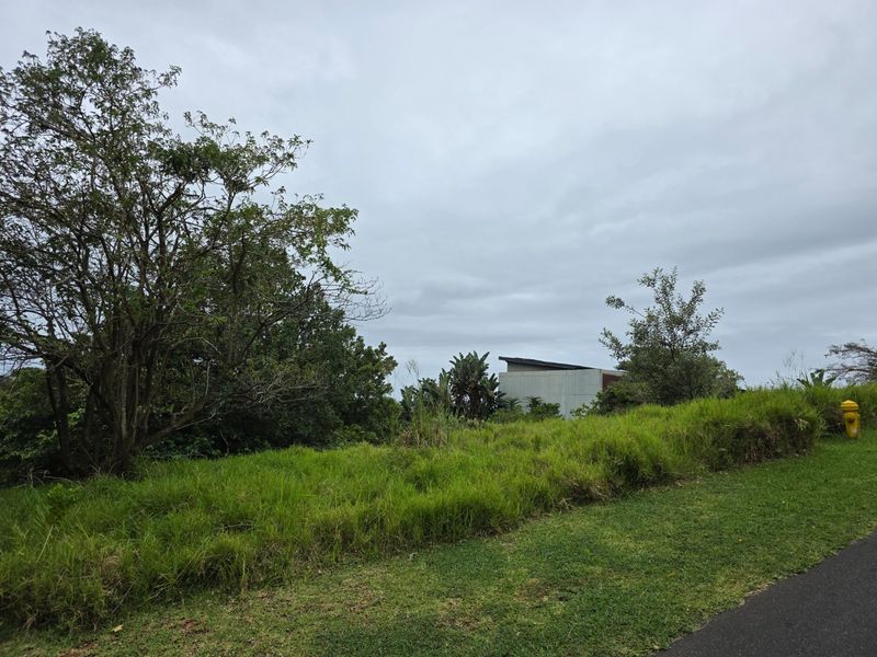 A view of a residential vacant land plot featuring grassy terrain, mature trees, and a fire hydrant adjacent to a paved road.