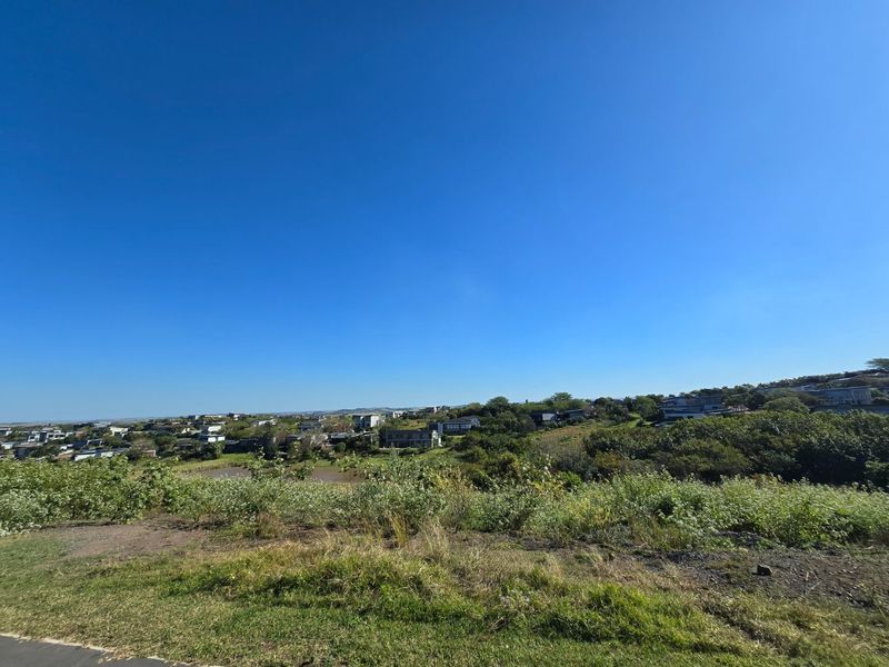 A wide-angle view of the surrounding residential landscape and natural vegetation from the vacant land plot.