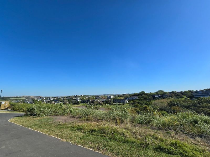 A scenic view overlooking a residential estate with natural vegetation and a paved road in the foreground.