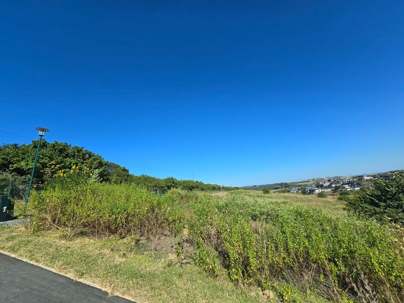 A view of a vacant residential plot featuring natural vegetation, perimeter fencing, and a street lamp, with surrounding neighborhood views in the distance.
