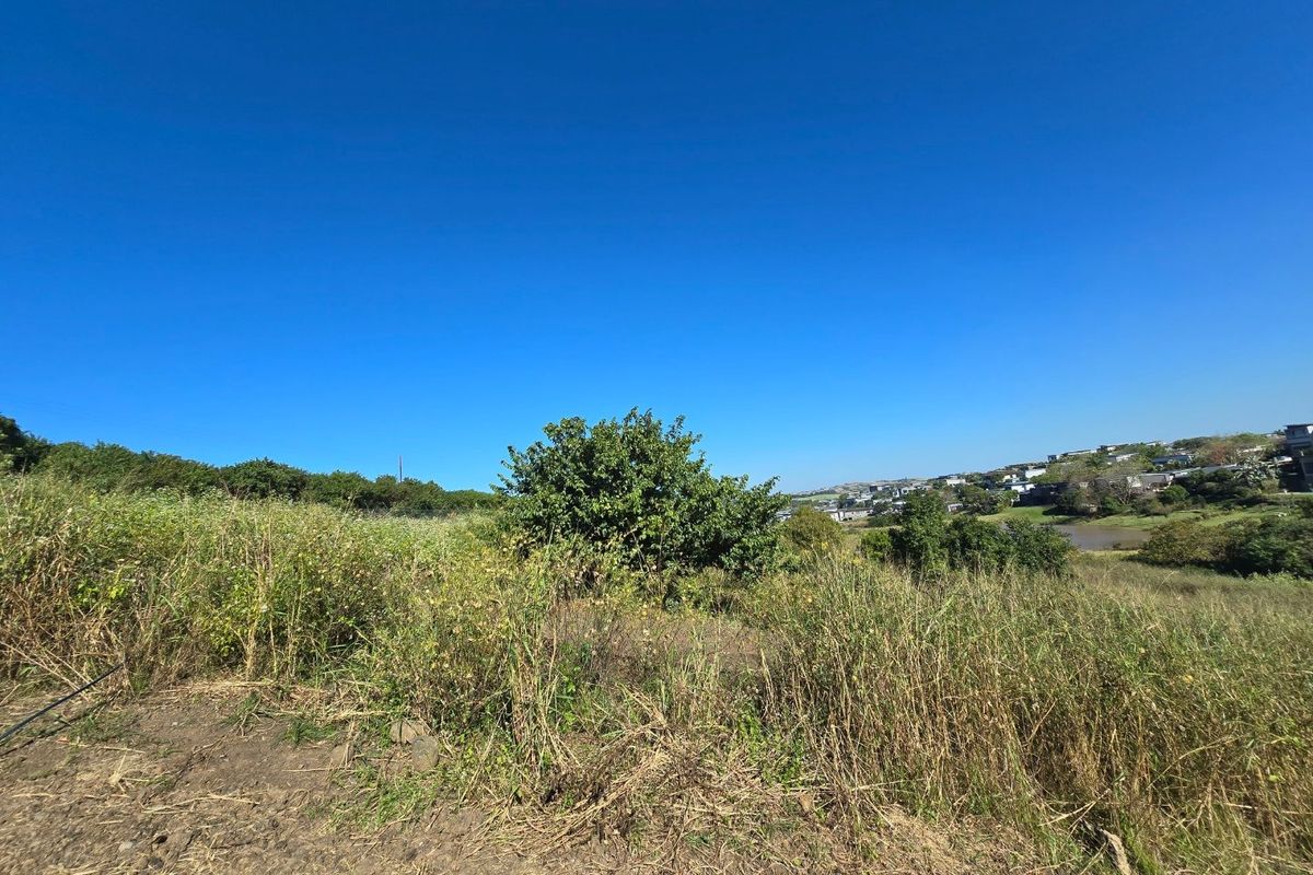 A view of the vacant residential land featuring natural vegetation and a gentle slope, overlooking the surrounding neighborhood landscape.