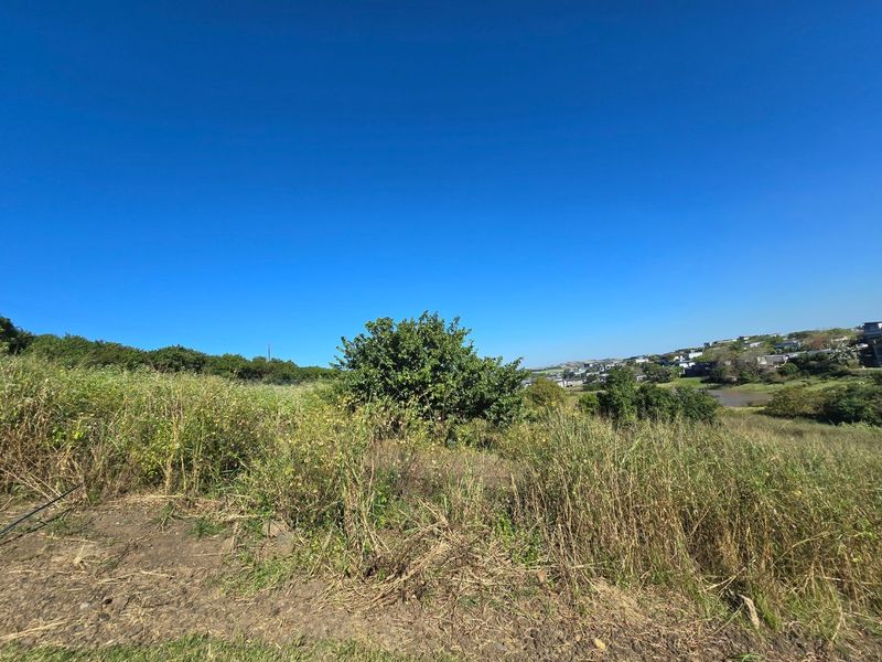 A view of the vacant residential land featuring natural vegetation and a gentle slope, overlooking the surrounding neighborhood landscape.
