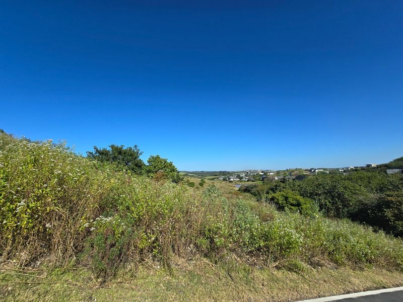 A wide-angle view of the vacant residential land featuring natural vegetation and a sloped landscape overlooking the surrounding neighborhood.