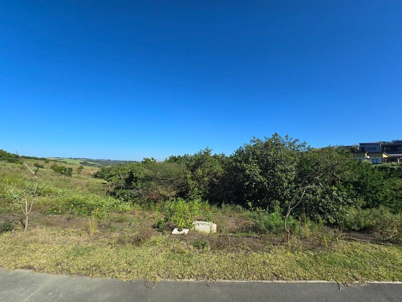 A view of a vacant residential plot featuring native vegetation and road frontage, suitable for future development.