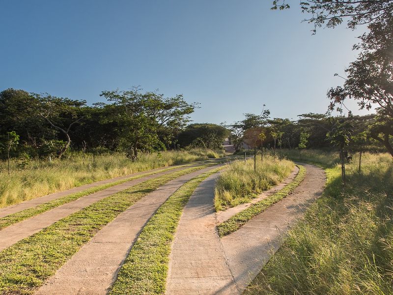 A view of a concrete driveway leading through a landscaped, grassy area towards the property entrance.