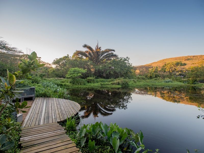 A scenic view of a tranquil pond featuring a wooden deck and lush natural landscaping.