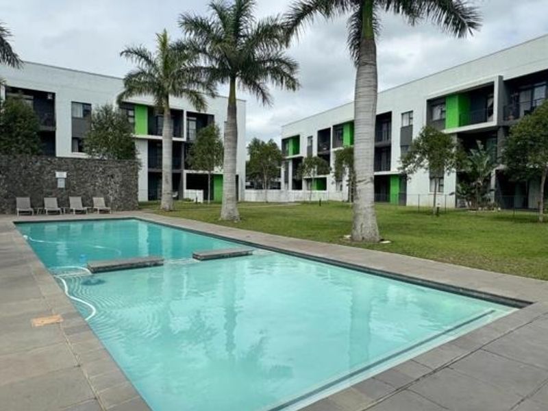 A well-maintained communal swimming pool area featuring a paved deck, landscaped garden with palm trees, and modern apartment building facades.