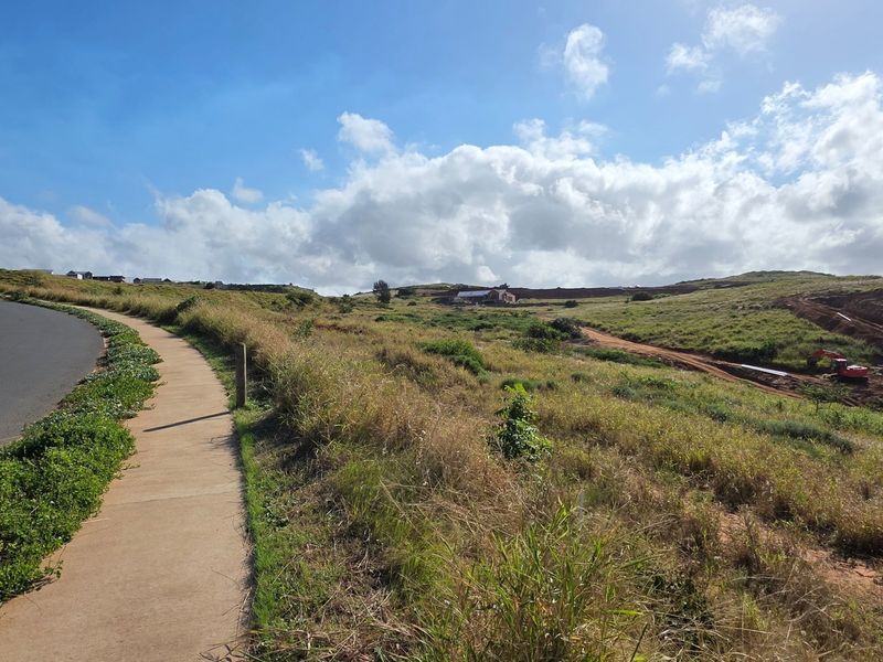 A view of the street frontage and sidewalk adjacent to the vacant residential land, showing the surrounding landscape and road infrastructure.