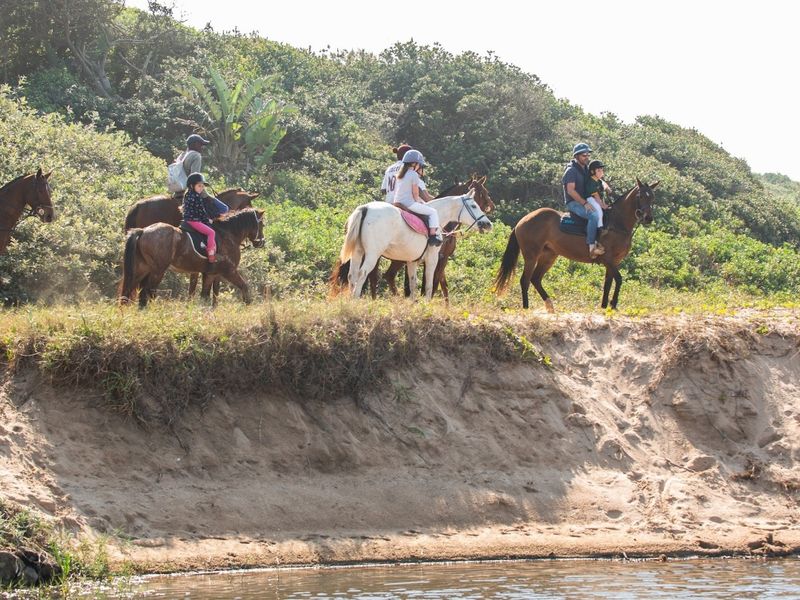 A scenic view of a natural landscape featuring a sandy embankment and lush vegetation, highlighting the recreational potential of the surrounding area.