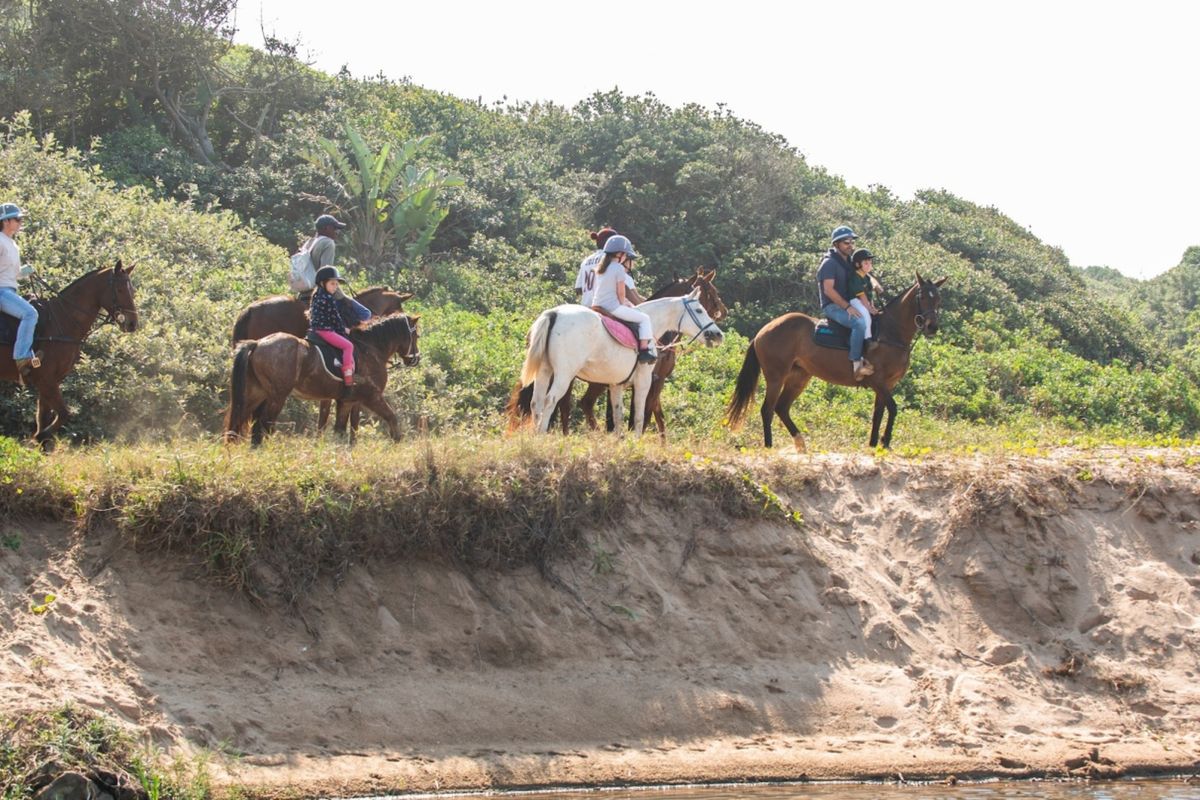 A scenic view of a natural landscape featuring a sandy bank and dense coastal vegetation, suitable for outdoor recreational activities.