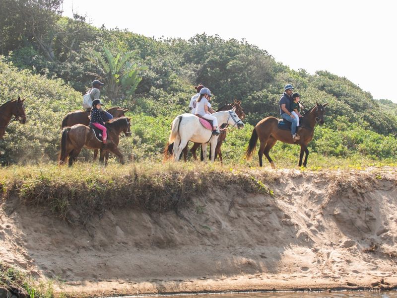 A scenic view of a natural landscape featuring a sandy bank and dense coastal vegetation, suitable for outdoor recreational activities.