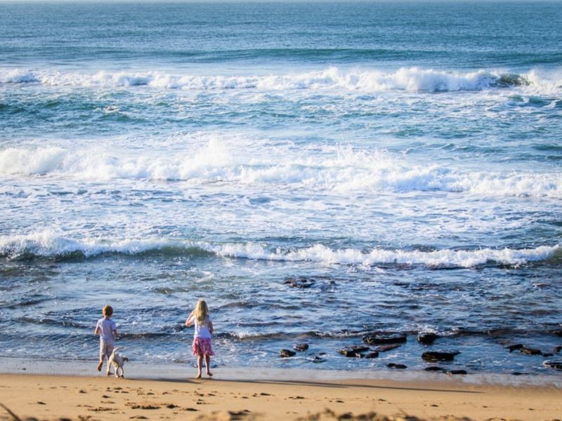 A scenic view of the ocean coastline, highlighting the natural landscape and beach access.