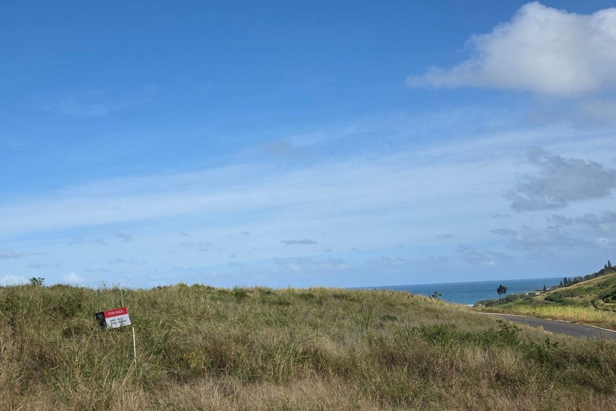 A vacant residential plot featuring natural grassland and scenic coastal views, offering a prime location for future development.