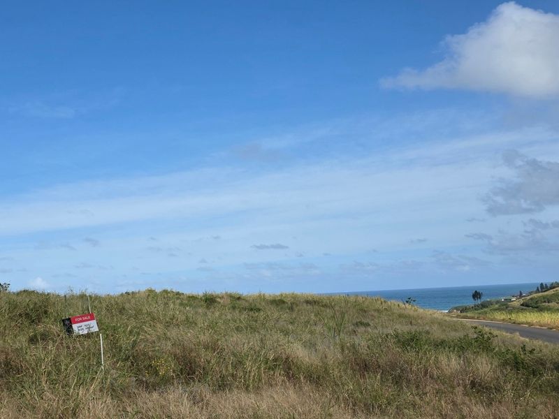 A vacant residential plot featuring natural grassland and scenic coastal views, offering a prime location for future development.