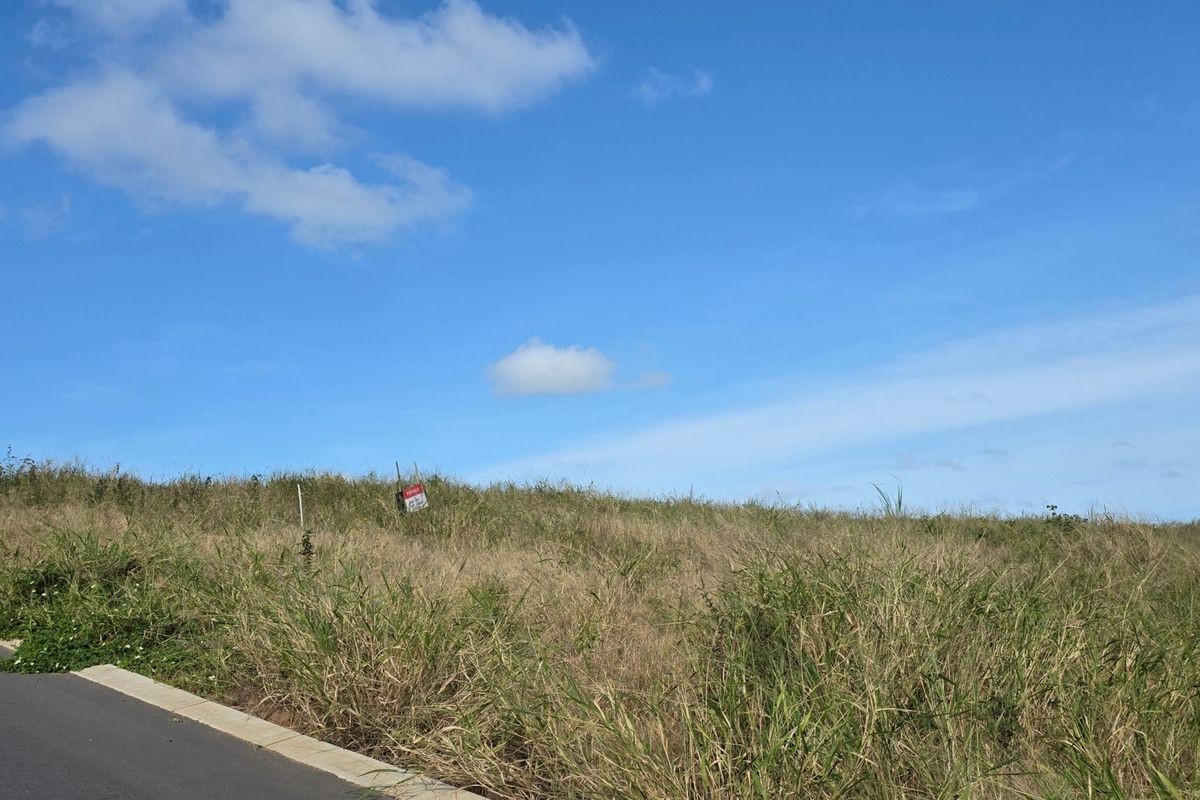 A view of a vacant residential plot featuring natural grass coverage, adjacent to an asphalt road with concrete curbing.