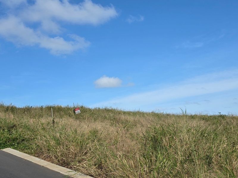 A view of a vacant residential plot featuring natural grass coverage, adjacent to an asphalt road with concrete curbing.