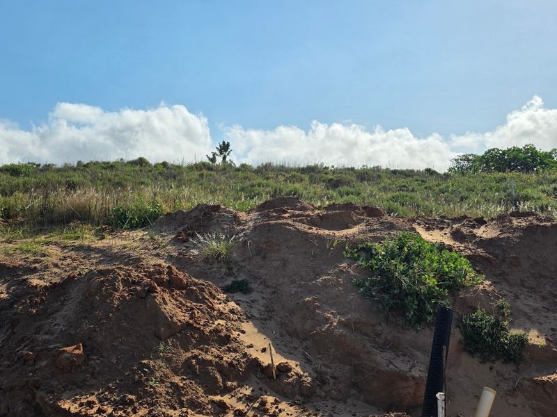 A view of the vacant residential land featuring natural vegetation and sandy terrain under a clear blue sky.