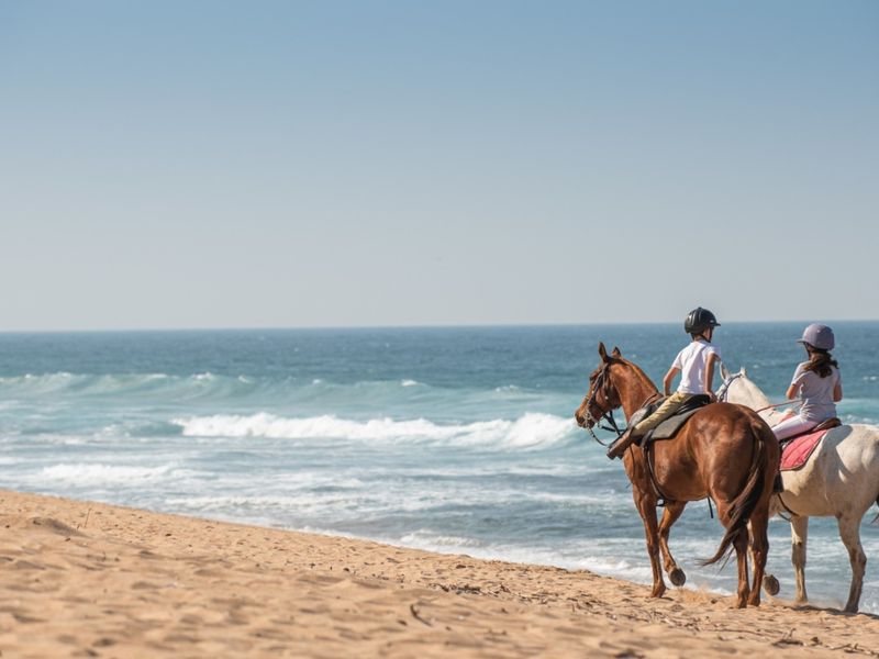 A scenic view of the coastline and ocean, highlighting the natural landscape and beach environment.