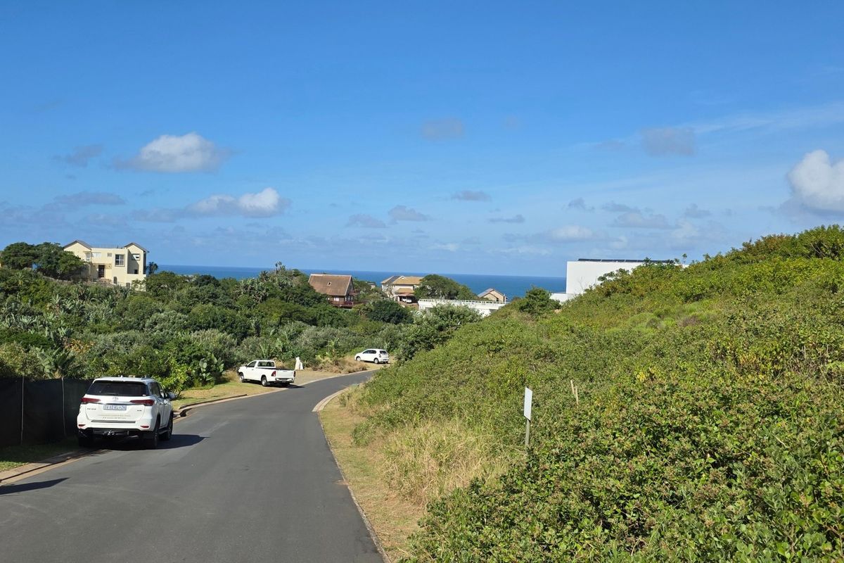 A view of the paved street leading through a coastal residential area with surrounding natural vegetation and distant ocean views.