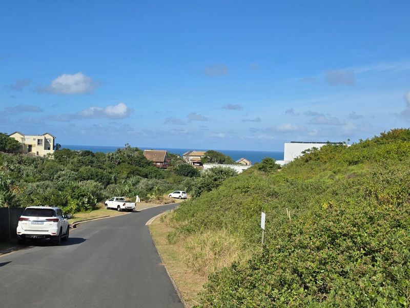 A view of the paved street leading through a coastal residential area with surrounding natural vegetation and distant ocean views.