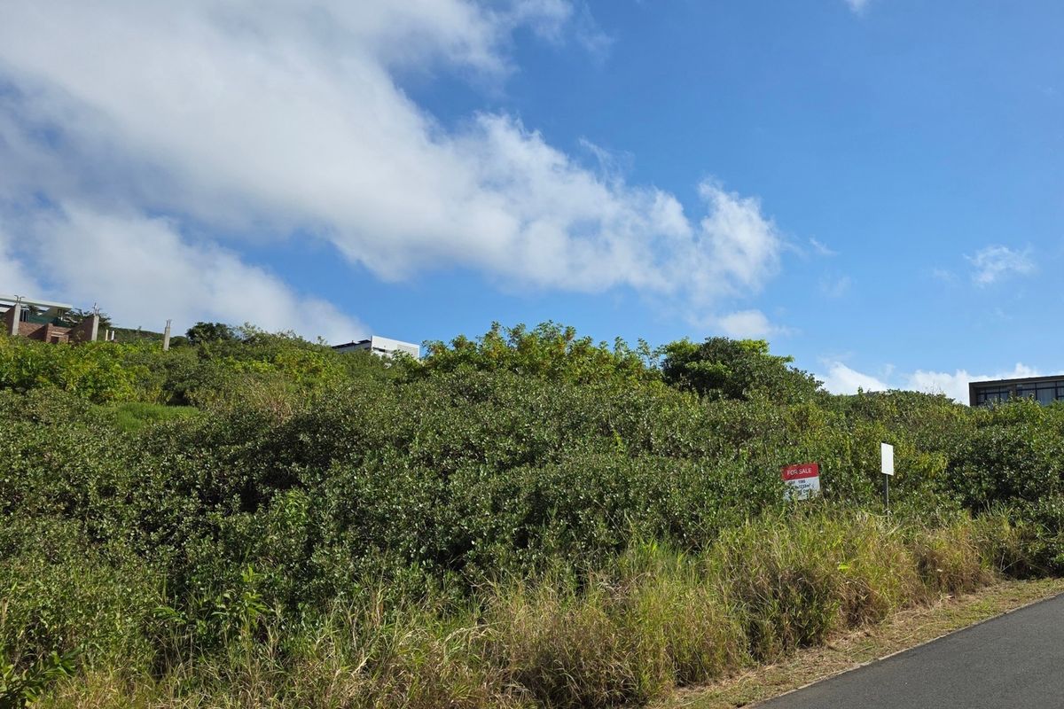 A view of a vacant residential plot featuring natural vegetation, bordering an asphalt road with surrounding hillside properties visible in the background.