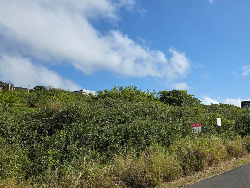 A view of a vacant residential plot featuring natural vegetation, bordering an asphalt road with surrounding hillside properties visible in the background.