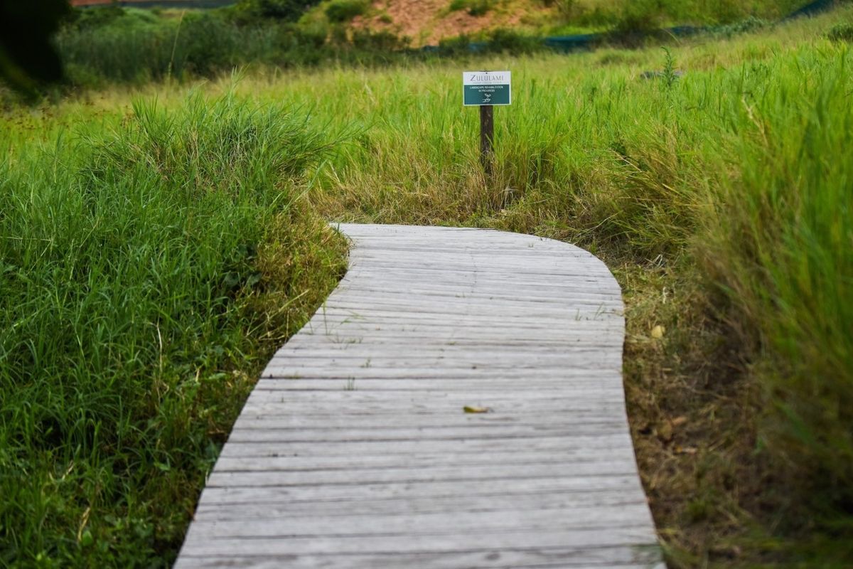 A timber boardwalk path winding through a grassy landscape area within the residential estate.