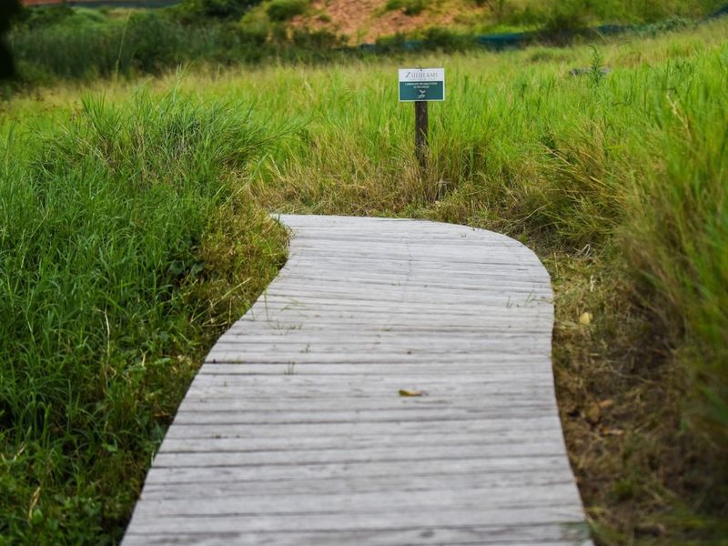 A timber boardwalk path winding through a grassy landscape area within the residential estate.