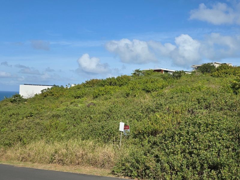 A sloped residential vacant land plot featuring coastal vegetation and ocean views, situated in a developed neighborhood.
