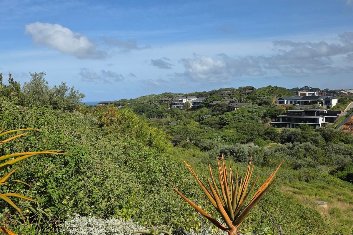 A scenic elevated view overlooking a lush coastal landscape with surrounding residential properties and natural vegetation.