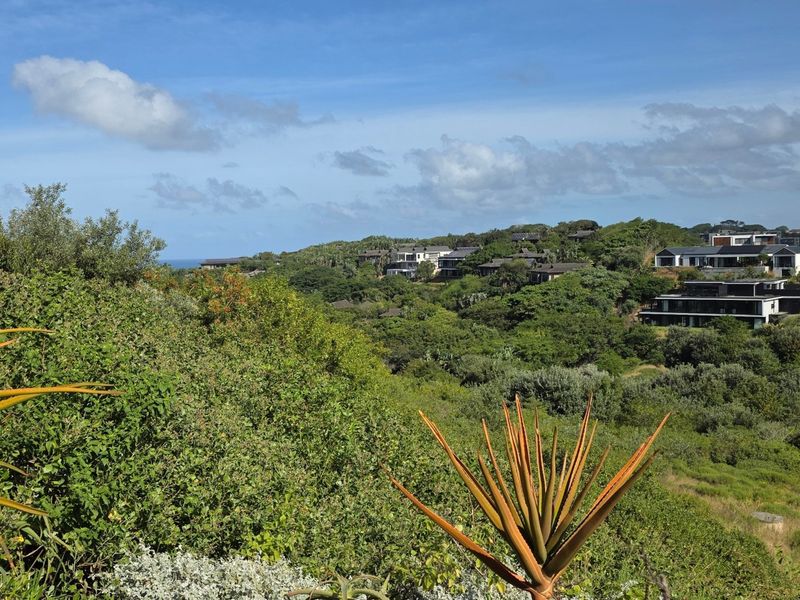 A scenic elevated view overlooking a lush coastal landscape with surrounding residential properties and natural vegetation.