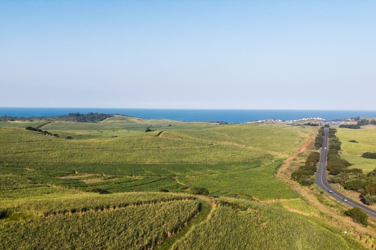 An aerial view of expansive agricultural farmland stretching towards the coastline, featuring rolling green fields and an adjacent public road.