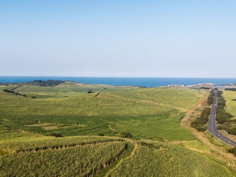 An aerial view of expansive agricultural farmland stretching towards the coastline, featuring rolling green fields and an adjacent public road.