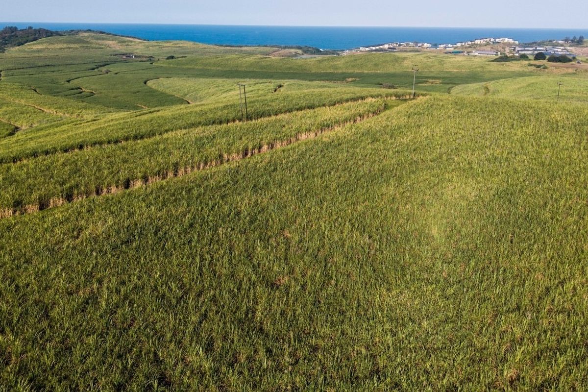 An aerial view of expansive agricultural farmland featuring rolling green fields with distant ocean views.
