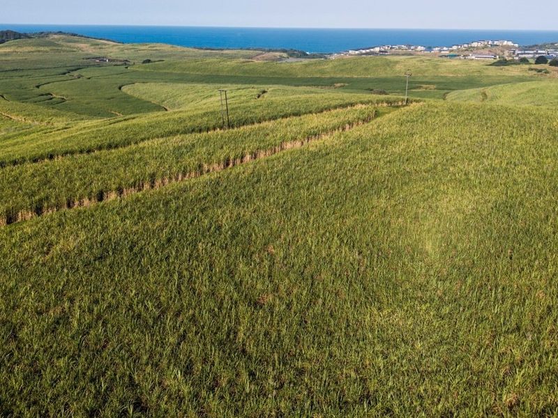 An aerial view of expansive agricultural farmland featuring rolling green fields with distant ocean views.