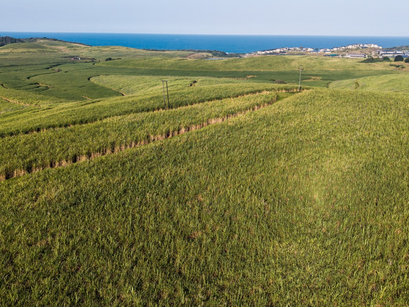 An aerial view of expansive agricultural farmland featuring rolling green fields with distant ocean views.