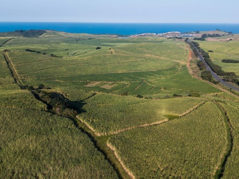 An expansive aerial view of large agricultural fields bordering a coastal road with ocean views in the distance.