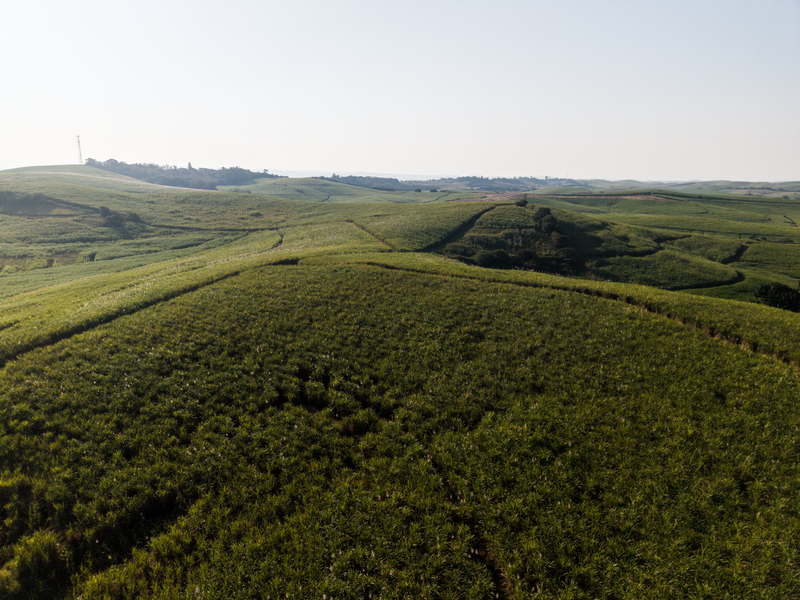 An aerial view of expansive, rolling agricultural farmland featuring lush green fields and hilly terrain.